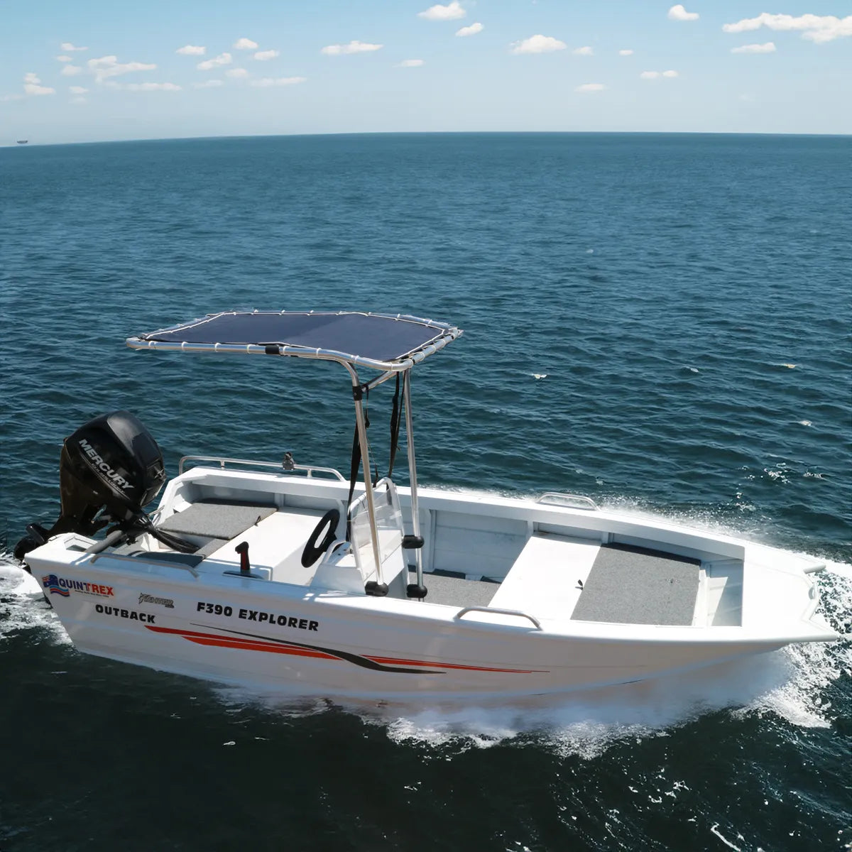 T-Top rétractable Seagull