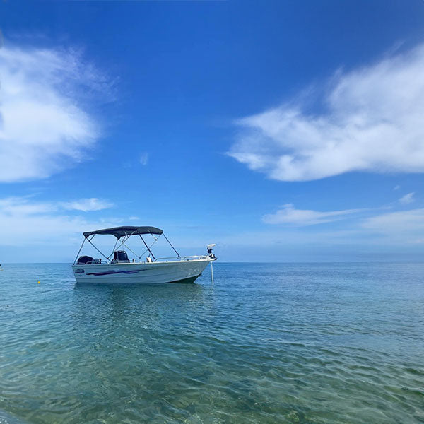 4 Bow Classic Bimini Top – Aluminium