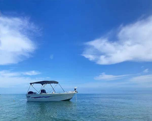 4 Bow Signature Bimini Top – 8ft